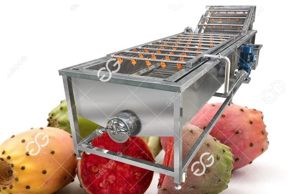 Industrial Fruit Vegetable Washing Machine High Pressure Mango