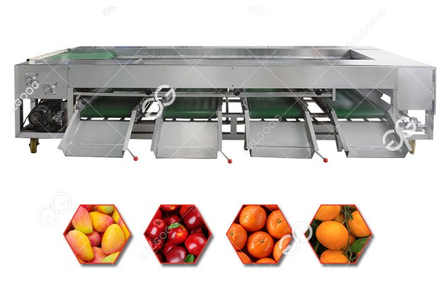 fruit sorting machine 