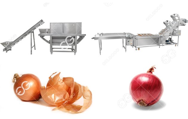 Onion Peeling Washing Processing Solution