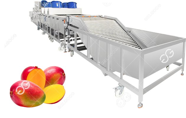 Mango Fruit Washing Waxing Processing Machinery