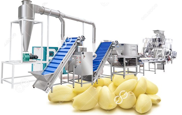 Advantages Of Garlic Peeling And Processing Production Lines Of Different Sizes