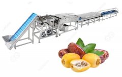 The Most Popular Date Palm Cleaning And Processing Production Line