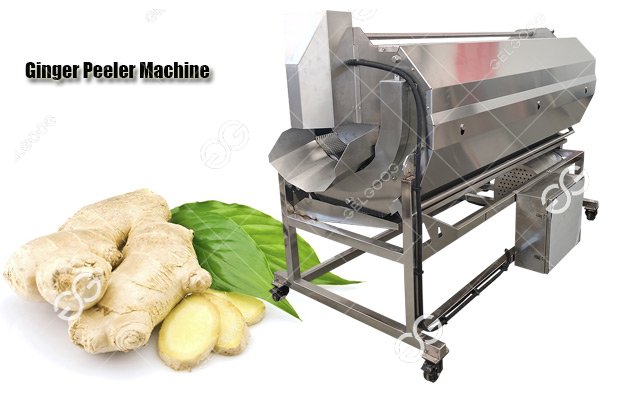 High Quality Ginger Washing Peeling Machine